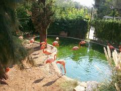 183 D21 SANARY SUR MER 1_000042